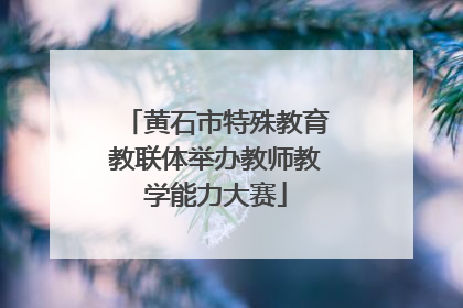 黄石市特殊教育教联体举办教师教学能力大赛