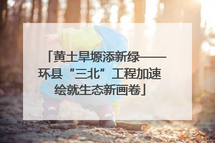 黄土旱塬添新绿——环县“三北”工程加速绘就生态新画卷