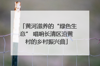 黄河滋养的“绿色生意” 唱响长清区沿黄村的乡村振兴曲