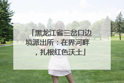 黑龙江省三岔口边境派出所：在界河畔，扎根红色沃土