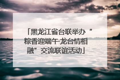 黑龙江省台联举办“粽香迎端午·龙台情相融”交流联谊活动