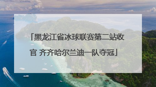 黑龙江省冰球联赛第二站收官 齐齐哈尔兰迪一队夺冠