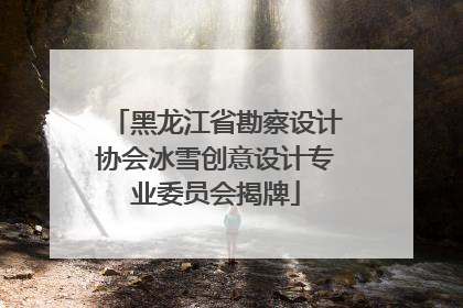黑龙江省勘察设计协会冰雪创意设计专业委员会揭牌