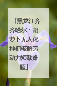 黑龙江齐齐哈尔：胡萝卜无人化种植破解劳动力短缺难题