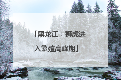 黑龙江：狮虎进入繁殖高峰期