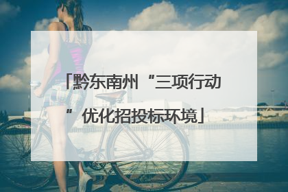 黔东南州“三项行动”优化招投标环境