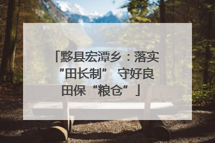 黟县宏潭乡：落实“田长制” 守好良田保“粮仓”