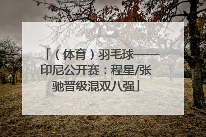（体育）羽毛球——印尼公开赛：程星/张驰晋级混双八强