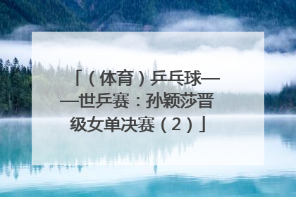 （体育）乒乓球——世乒赛：孙颖莎晋级女单决赛（2）