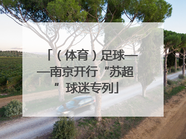 （体育）足球——南京开行“苏超”球迷专列