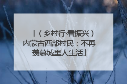 （乡村行·看振兴）内蒙古西部村民：不再羡慕城里人生活