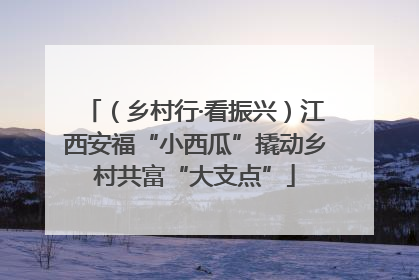 （乡村行·看振兴）江西安福“小西瓜”撬动乡村共富“大支点”
