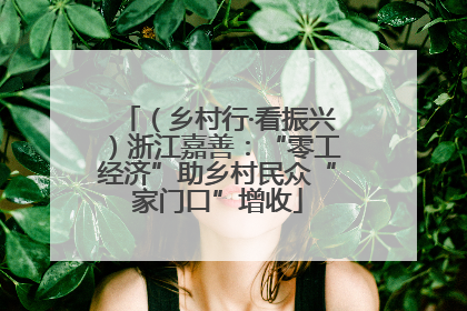 （乡村行·看振兴）浙江嘉善：“零工经济”助乡村民众“家门口”增收