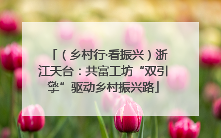 （乡村行·看振兴）浙江天台：共富工坊“双引擎”驱动乡村振兴路