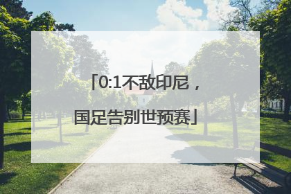 0:1不敌印尼，国足告别世预赛