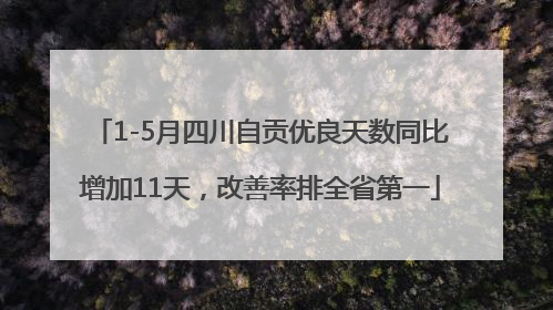 1-5月四川自贡优良天数同比增加11天，改善率排全省第一