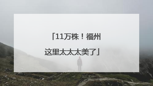 11万株！福州这里太太太美了