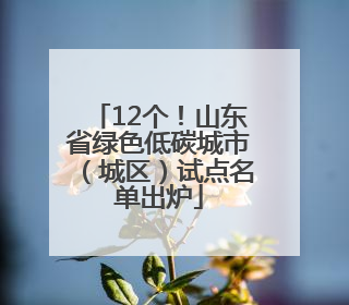 12个！山东省绿色低碳城市（城区）试点名单出炉