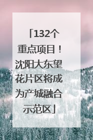 132个重点项目！沈阳大东望花片区将成为产城融合示范区