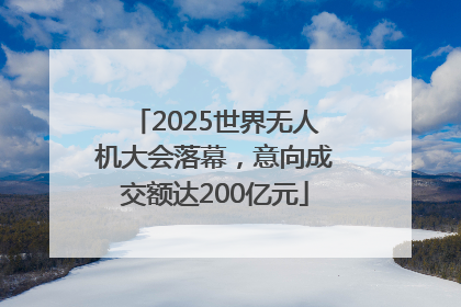 2025世界无人机大会落幕，意向成交额达200亿元