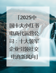 2025中国十大小红书电商代运营公司：十大领军企业引领社交电商新风向