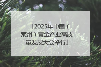 2025年中国（莱州）黄金产业高质量发展大会举行