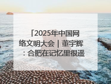 2025年中国网络文明大会｜董宇辉：合肥在记忆里很遥远也很亲切