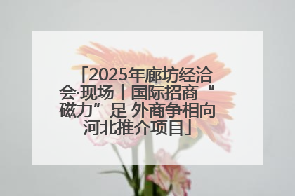 2025年廊坊经洽会·现场丨国际招商“磁力”足 外商争相向河北推介项目