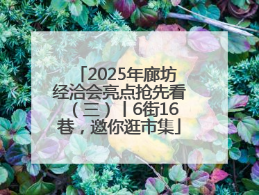 2025年廊坊经洽会亮点抢先看（三）丨6街16巷，邀你逛市集