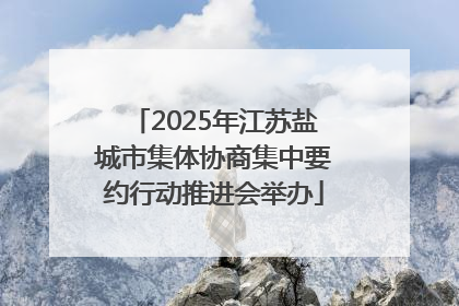 2025年江苏盐城市集体协商集中要约行动推进会举办