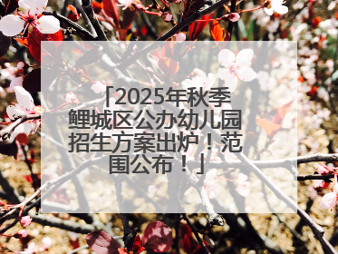 2025年秋季鲤城区公办幼儿园招生方案出炉！范围公布！