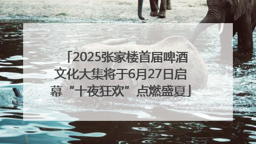 2025张家楼首届啤酒文化大集将于6月27日启幕“十夜狂欢”点燃盛夏