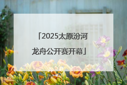 2025太原汾河龙舟公开赛开幕