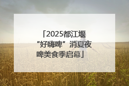 2025都江堰“好嗨啤”消夏夜啤美食季启幕