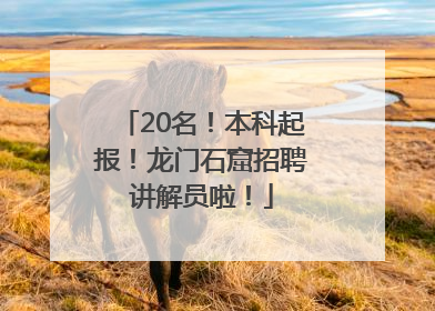 20名！本科起报！龙门石窟招聘讲解员啦！