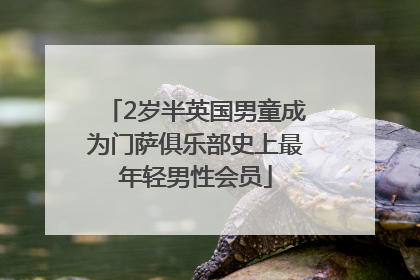 2岁半英国男童成为门萨俱乐部史上最年轻男性会员