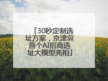 30秒定制选址方案，京津冀首个AI招商选址大模型亮相