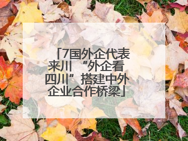 7国外企代表来川 “外企看四川”搭建中外企业合作桥梁