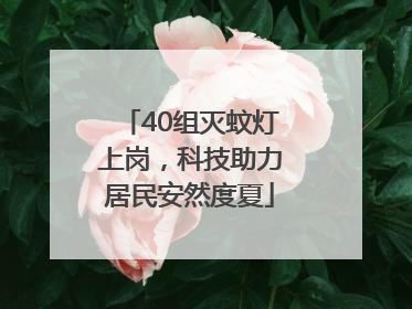 40组灭蚊灯上岗，科技助力居民安然度夏