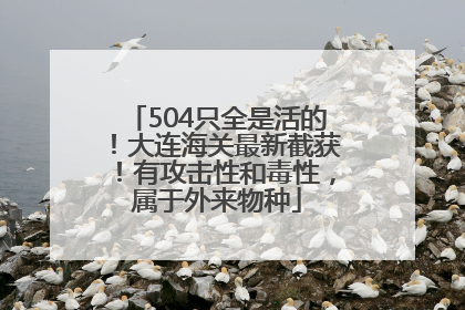 504只全是活的！大连海关最新截获！有攻击性和毒性，属于外来物种