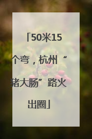 50米15个弯，杭州“猪大肠”路火出圈
