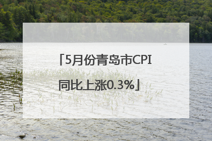 5月份青岛市CPI同比上涨0.3%