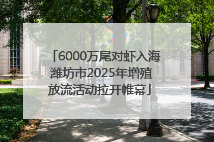 6000万尾对虾入海 潍坊市2025年增殖放流活动拉开帷幕