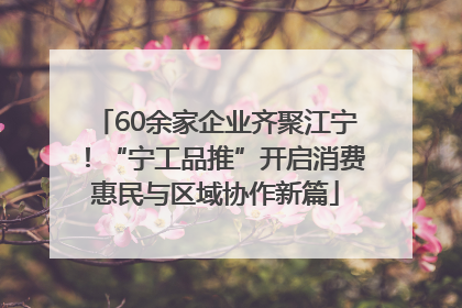 60余家企业齐聚江宁！“宁工品推”开启消费惠民与区域协作新篇