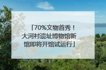 70%文物首秀！大河村遗址博物馆新馆即将开馆试运行