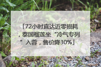 72小时直达近零损耗，泰国榴莲坐“冷气专列”入蓉，售价降30%