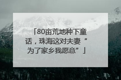 80亩荒地种下童话,珠海这对夫妻“为了家乡我愿意”