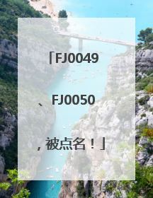 FJ0049、FJ0050，被点名！