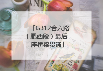 G312合六路（肥西段）最后一座桥梁贯通